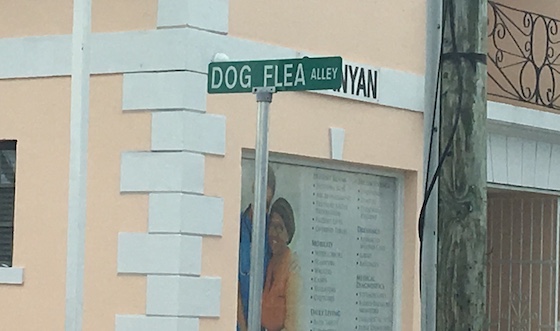 dog flea street sign